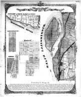 Township 3 North Range 19 West, Township 4 North Range 10 West, Sarastapol, Moro, Saline, Madison County 1873 Microfilm